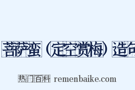 菩萨蛮（定空赏梅）造句是什么意思的图片